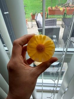 Lumeance Sunflower Soap