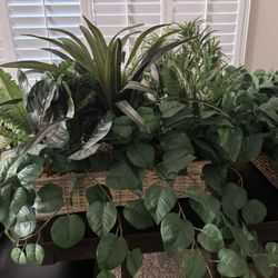 5 artificial green ledge plants $50 OBO