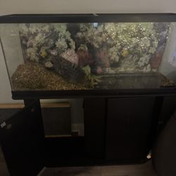 55 Gal Fish Tank