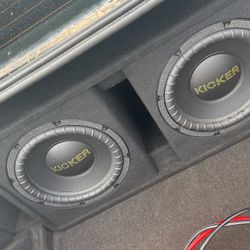 Kicker Golds 