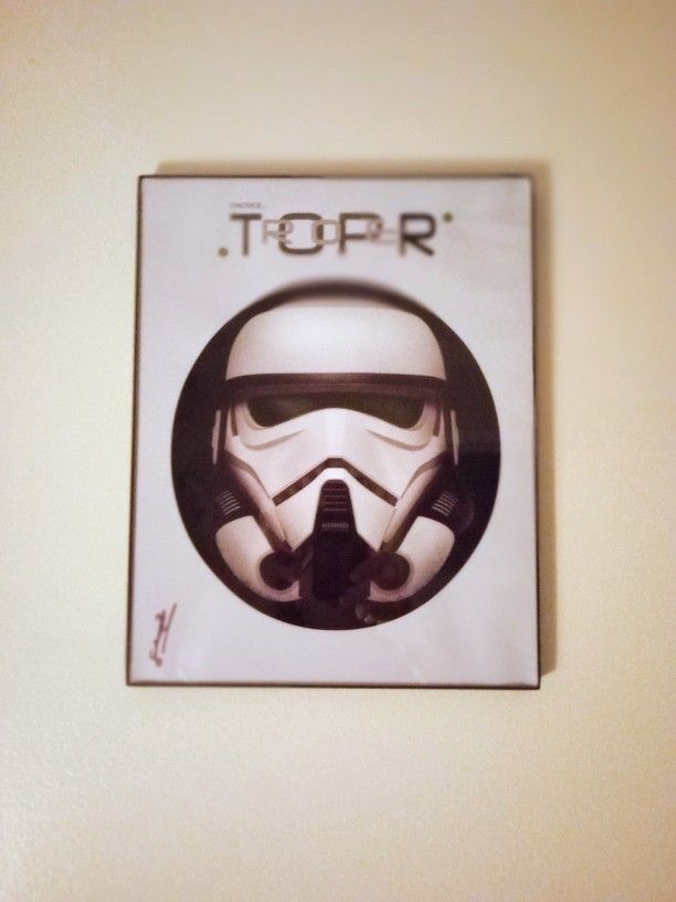 NEW STAR WARS PATROL TROOPER PICTURE