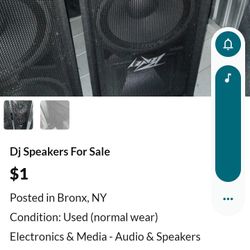 Pair of Peavey Pv215