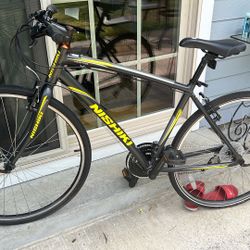 Nishiki Japanese Hybrid Sports Road Bike