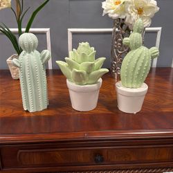 Set Of 3 Ceramic Succulent Decor