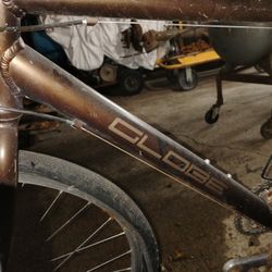 Specialized Globe And Block Flyer Bikes