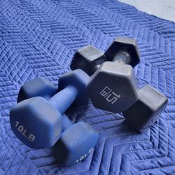 15 Pounds Dumbbells Set 10 Pound Dumbells Set Weightlift Weight Exercise Workouts 