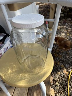 Gallon Jars