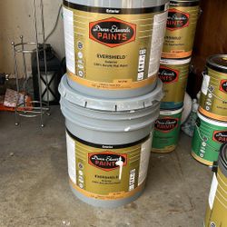 DUNN EDWARDS PAINTS 5 GALLONS WHITE FLAT COLOR 