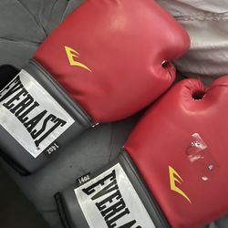 New Everest Boxing Gloves