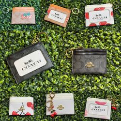 Woman card holder