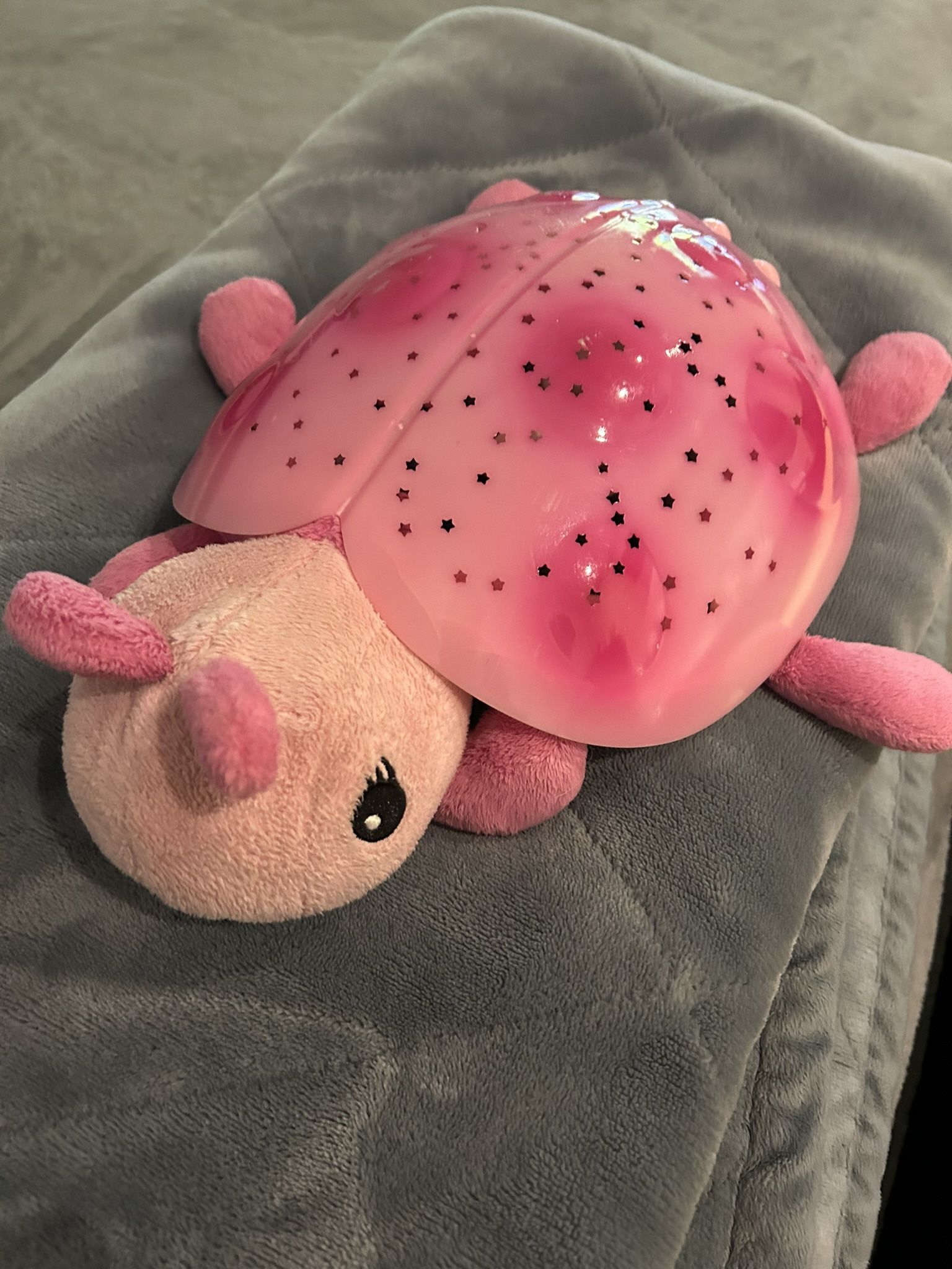 Twilight Plush Turtle Light