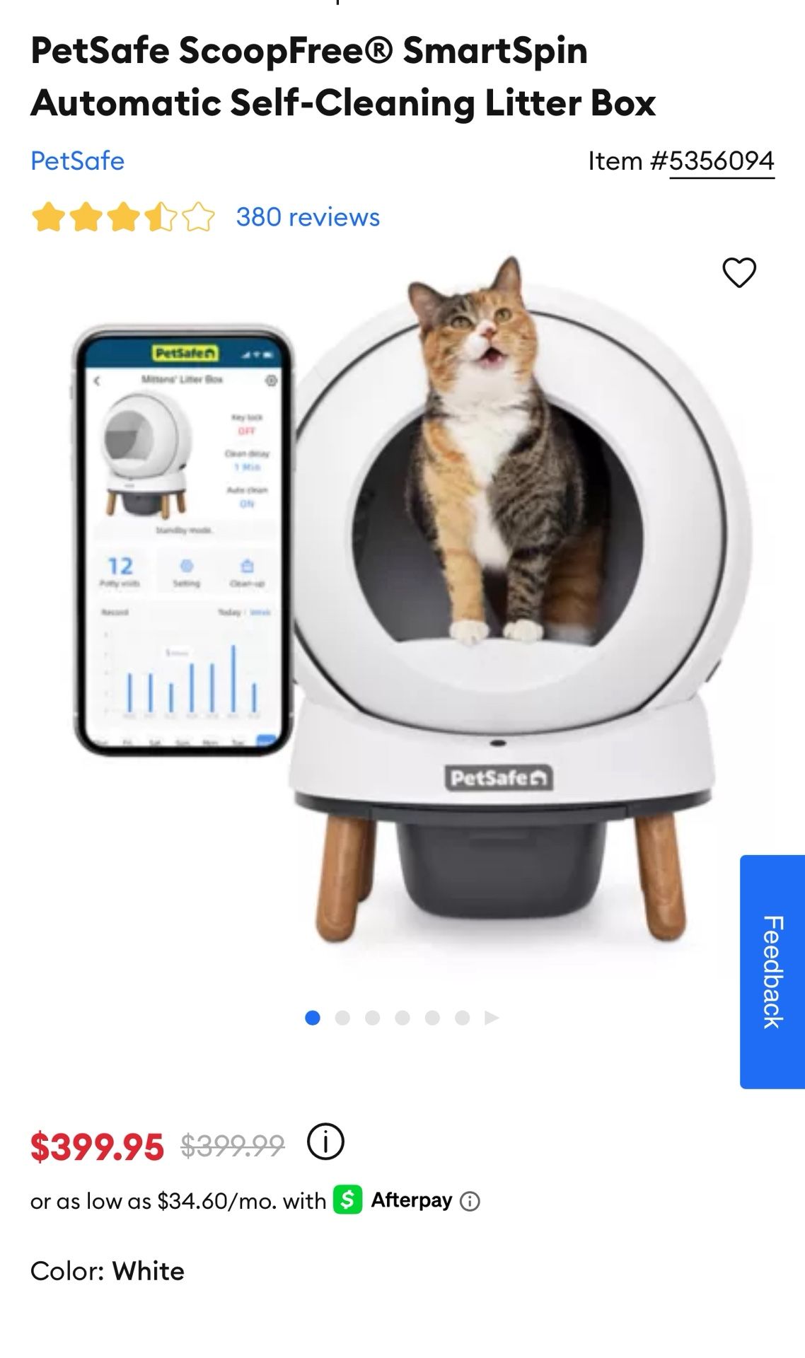 Cat Litter