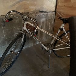 Fixie For Sale 