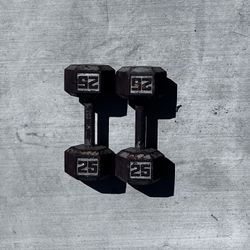 25 Pound Weights