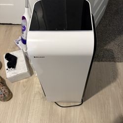Bluair Air Purifier