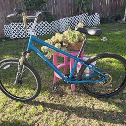 Custom Specialized Bicycle 