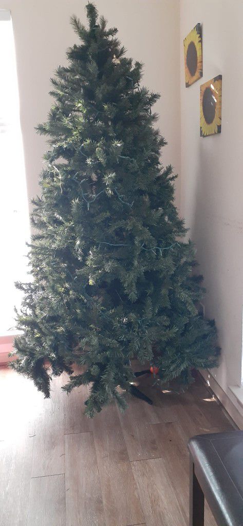 Bee & Willow 7-Foot Pre-Lit Faux Fraser Fir Christmas Tree with Clear  Lights for Sale in San Antonio, TX - OfferUp