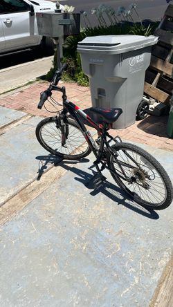 Schwinn Youth Bike.