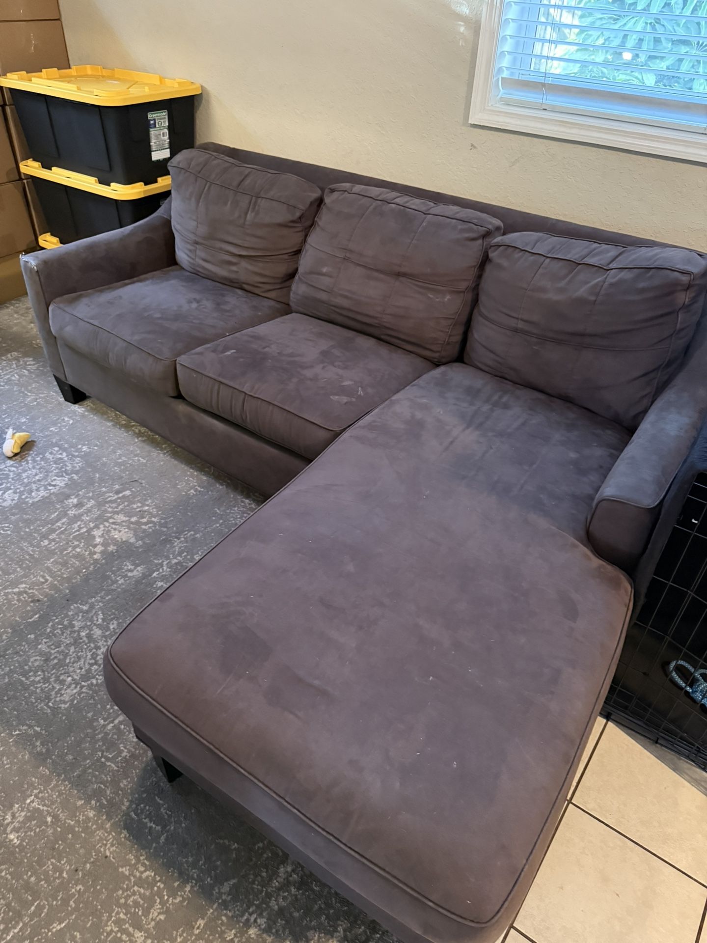 Free Sleeper sofa