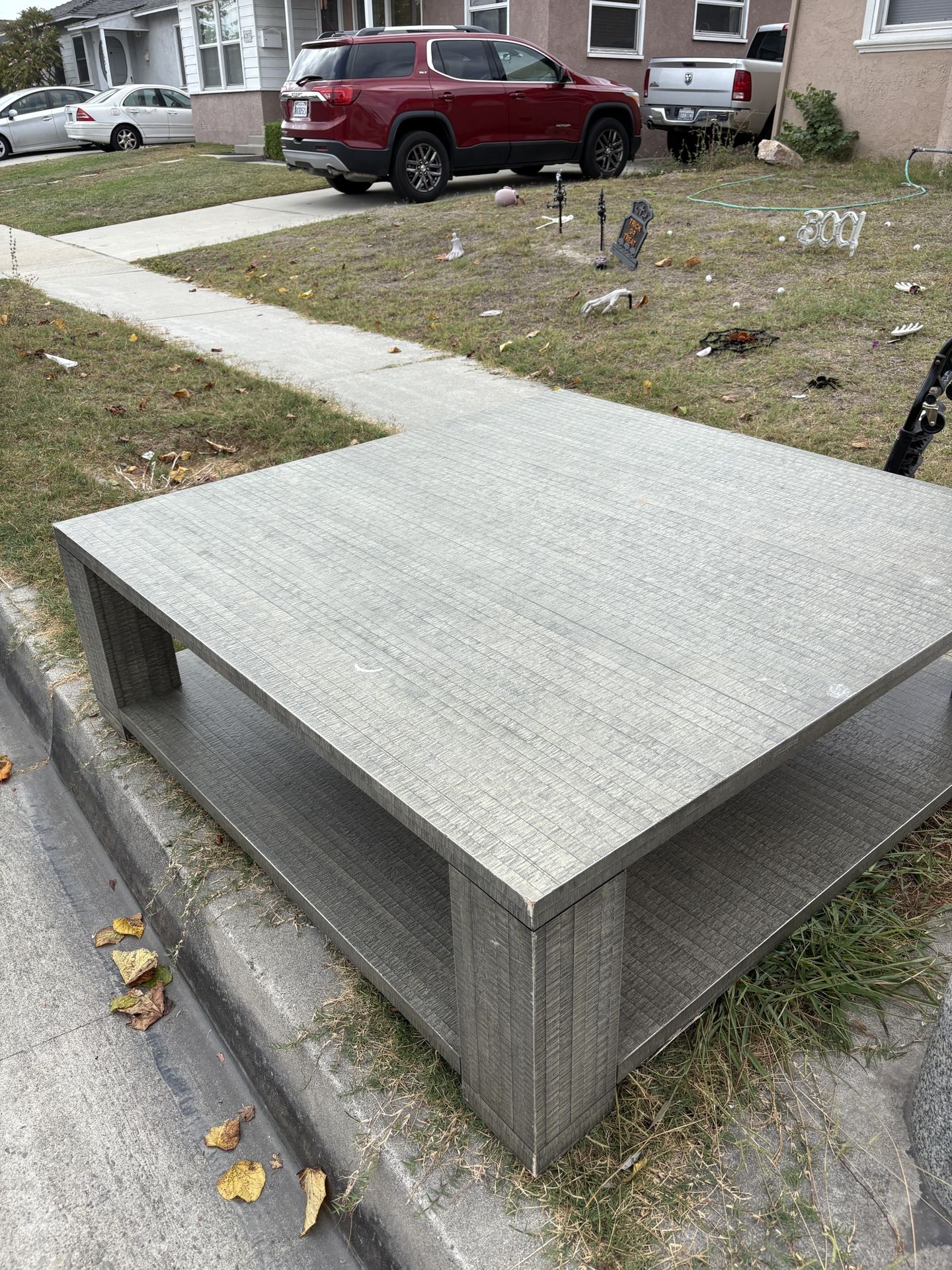 Coffee Table (large)