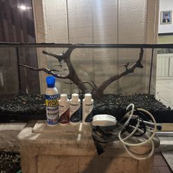 20 Gallon long (need gone ASAP)