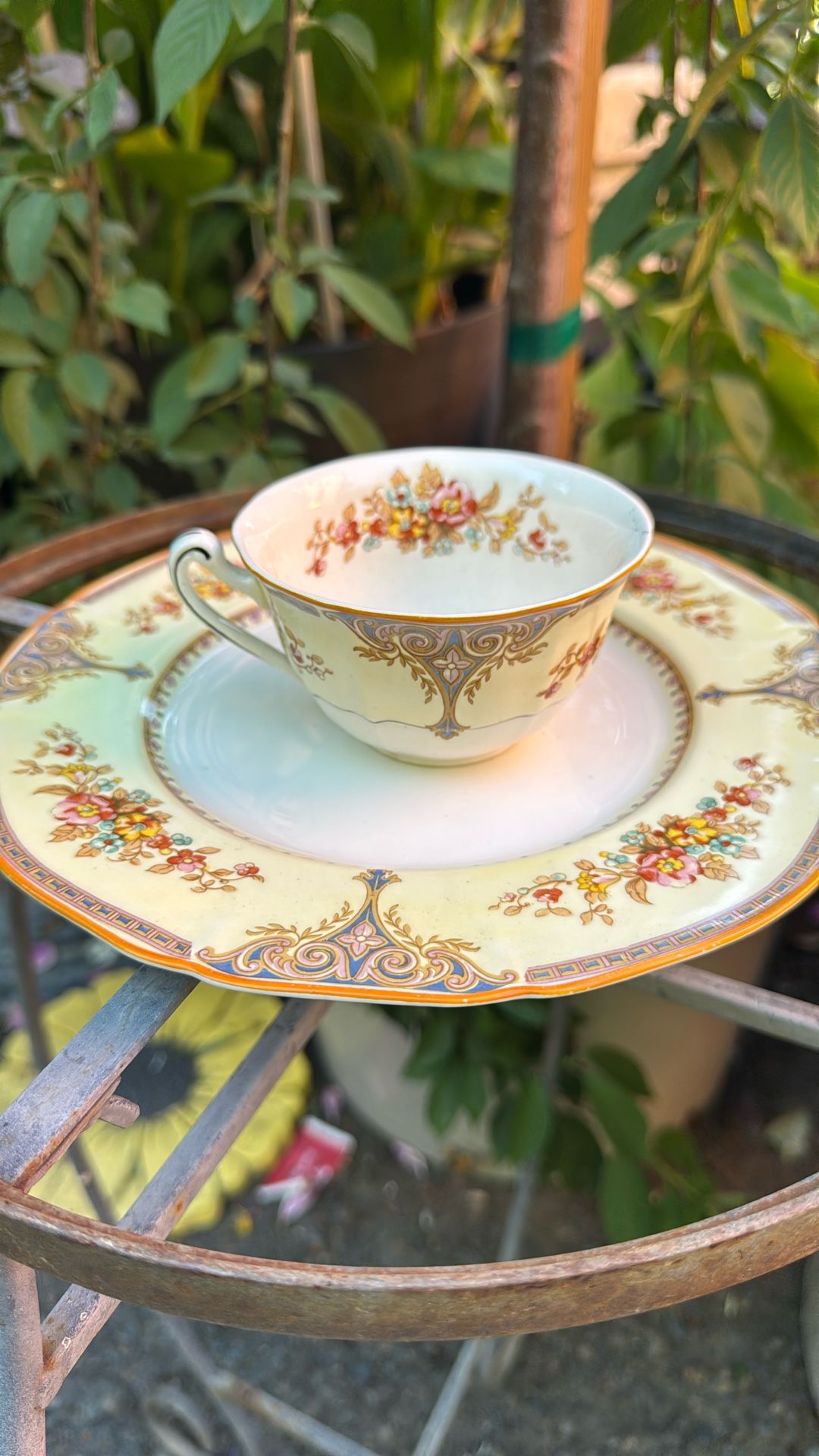 Plants  Antique Alfred Meakin England Henley Pattern Luncheon Plates Set
