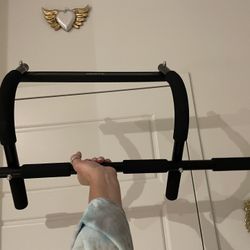 $45 Pull Up Bar 