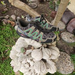 Women's Hiking Shoes
