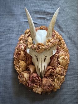 Mounted Roe Deer Skull w/ Dried Flowers