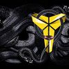 Mamba 24