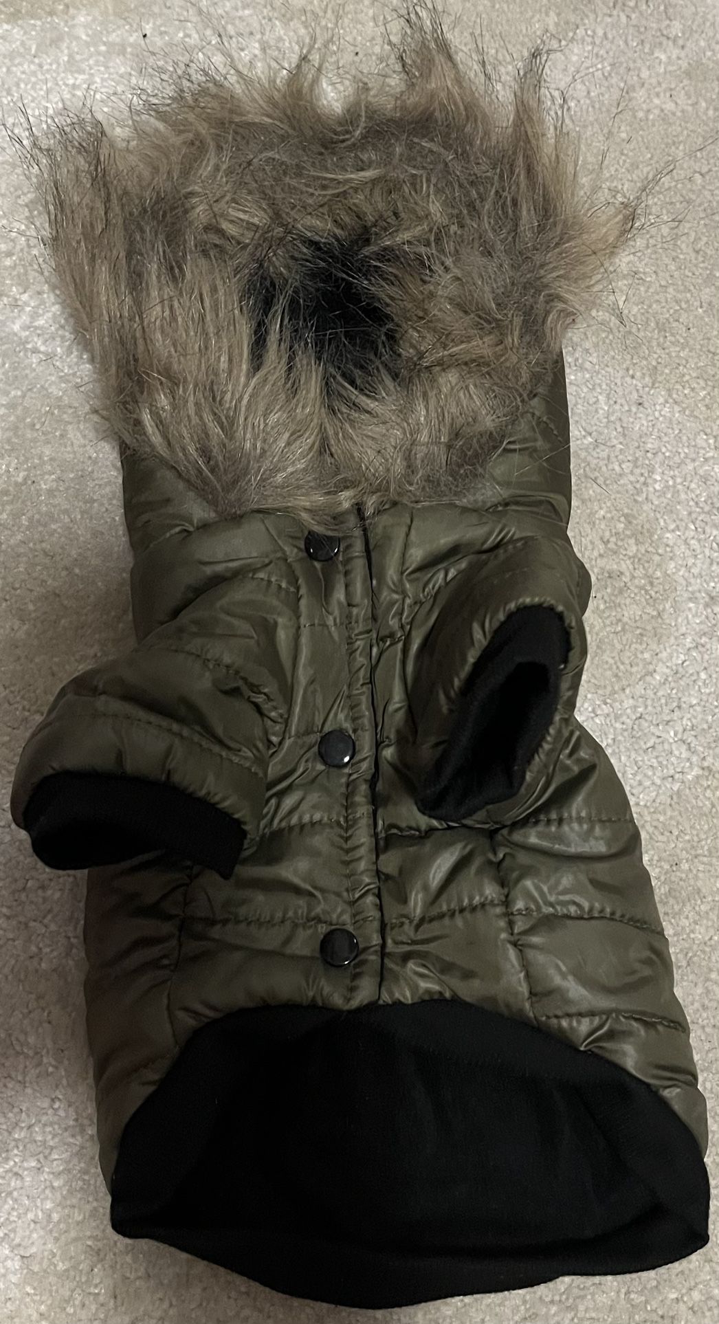New Small Dog Jackets & Sweaters $30 Each