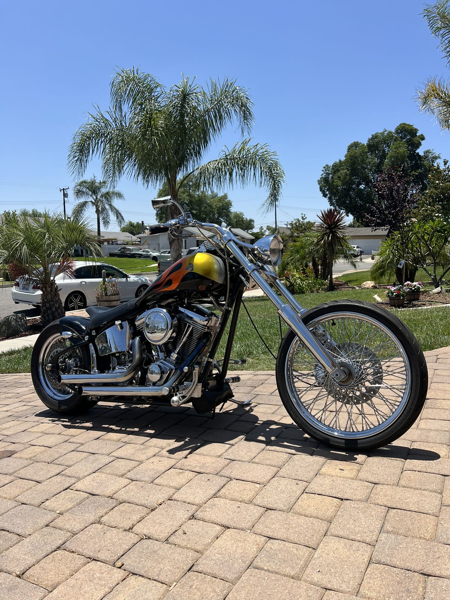 2006 Special Construction Pro Street Softail.