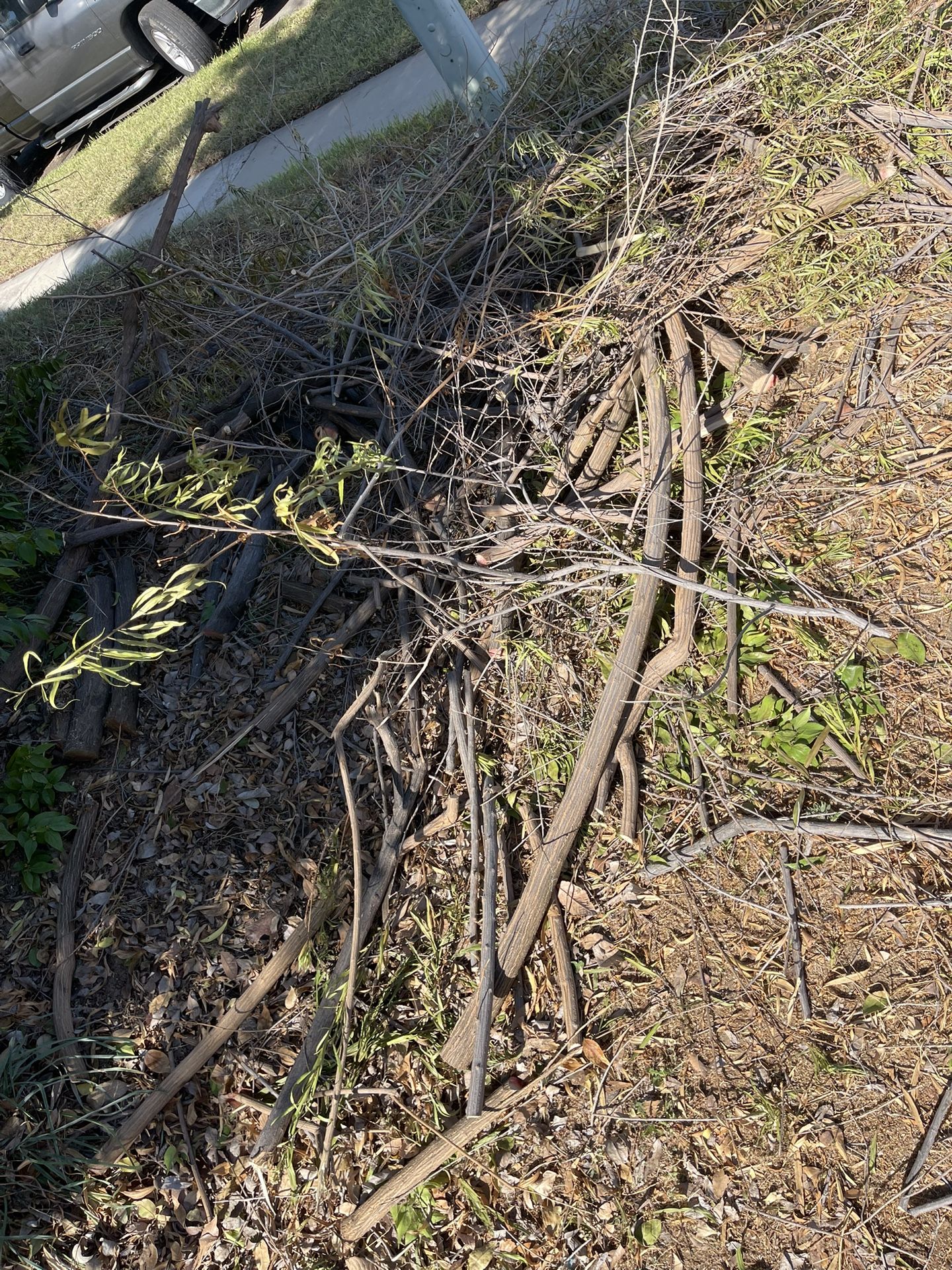FREE firewood