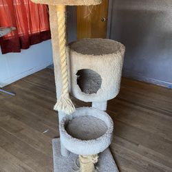 Cat Tree