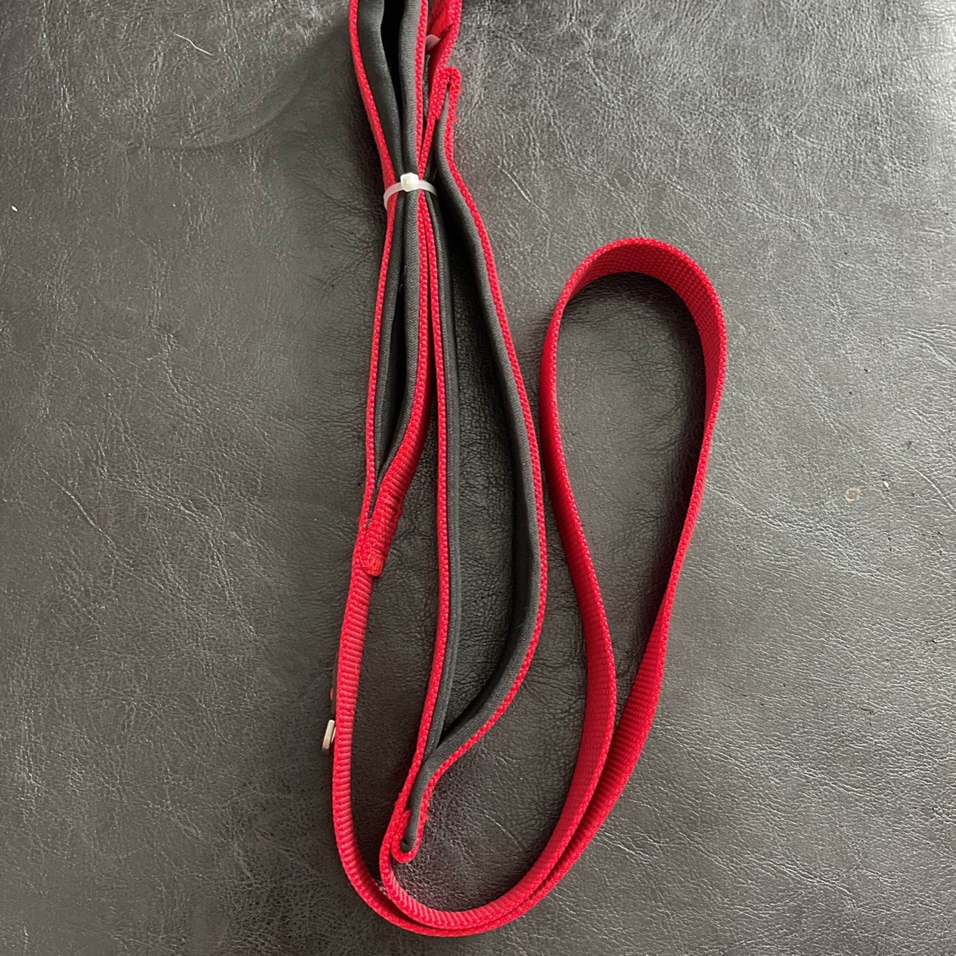 Kong Leash