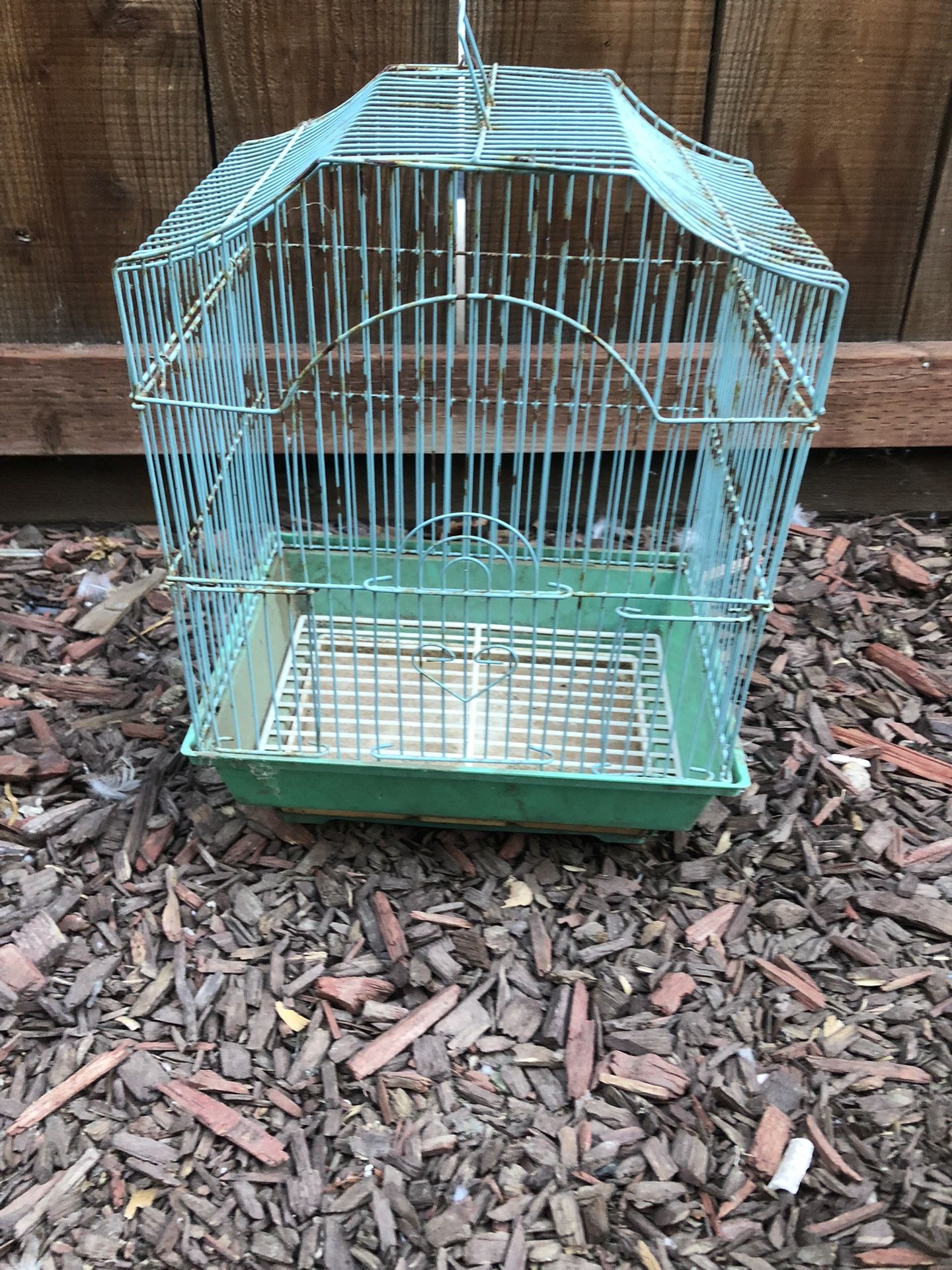 Blue Bird Cage