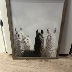 Llama Wall Art 