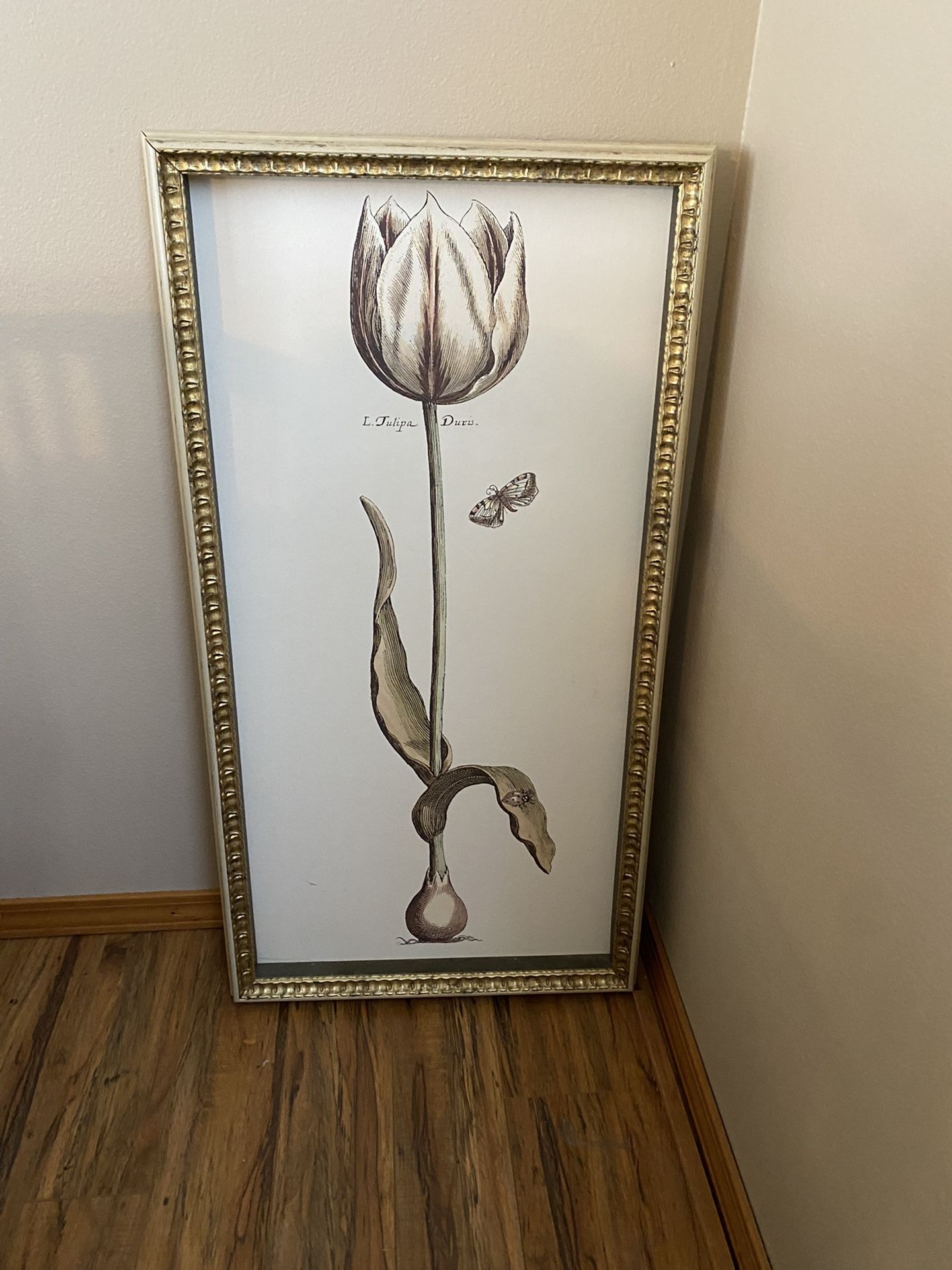 Wall Art The Crosley Archives “The White Tulip”
