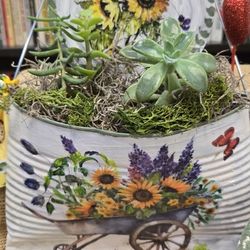 Plants Arrangement For VALENTINE'S DAY