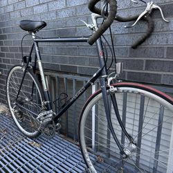 Fuji Sagres Vintage Road Bike Rare Find 