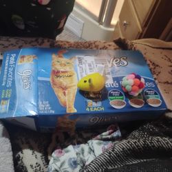 Cat Food No Use For It 11 Cans And Cat Litter Everything For 25$