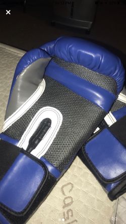 Everlasting Boxing Gloves