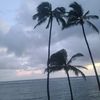 AT