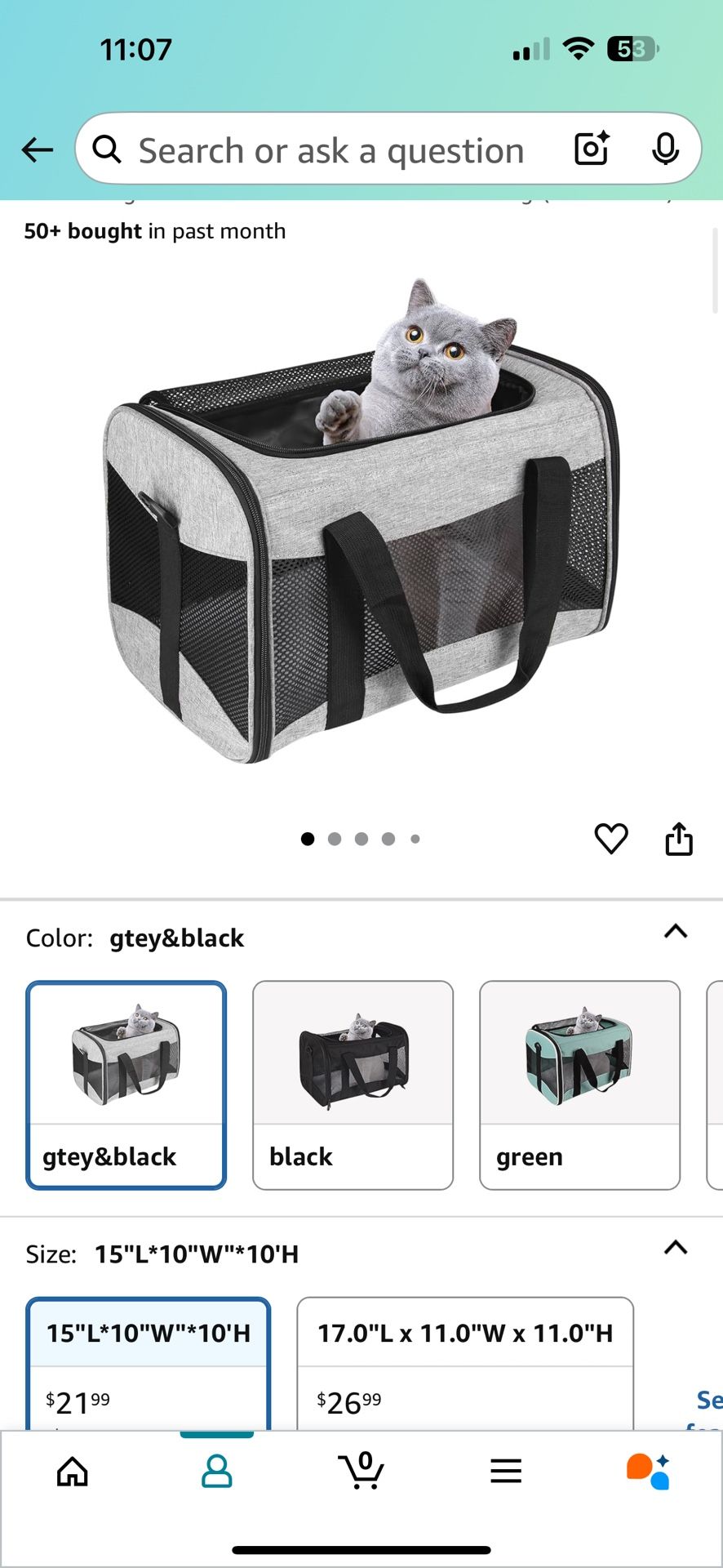 Pet Carrier