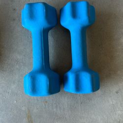 1 Pair Dumbbell’s  Weights. 7 Lbs