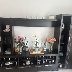Living Room TV Furniture