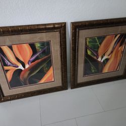 Beautiful Bird Of Paradise Wall Paints 30x30