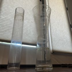 2 Tall Glass Vases