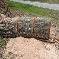 Free Firewood In Harris County Off Exit 19