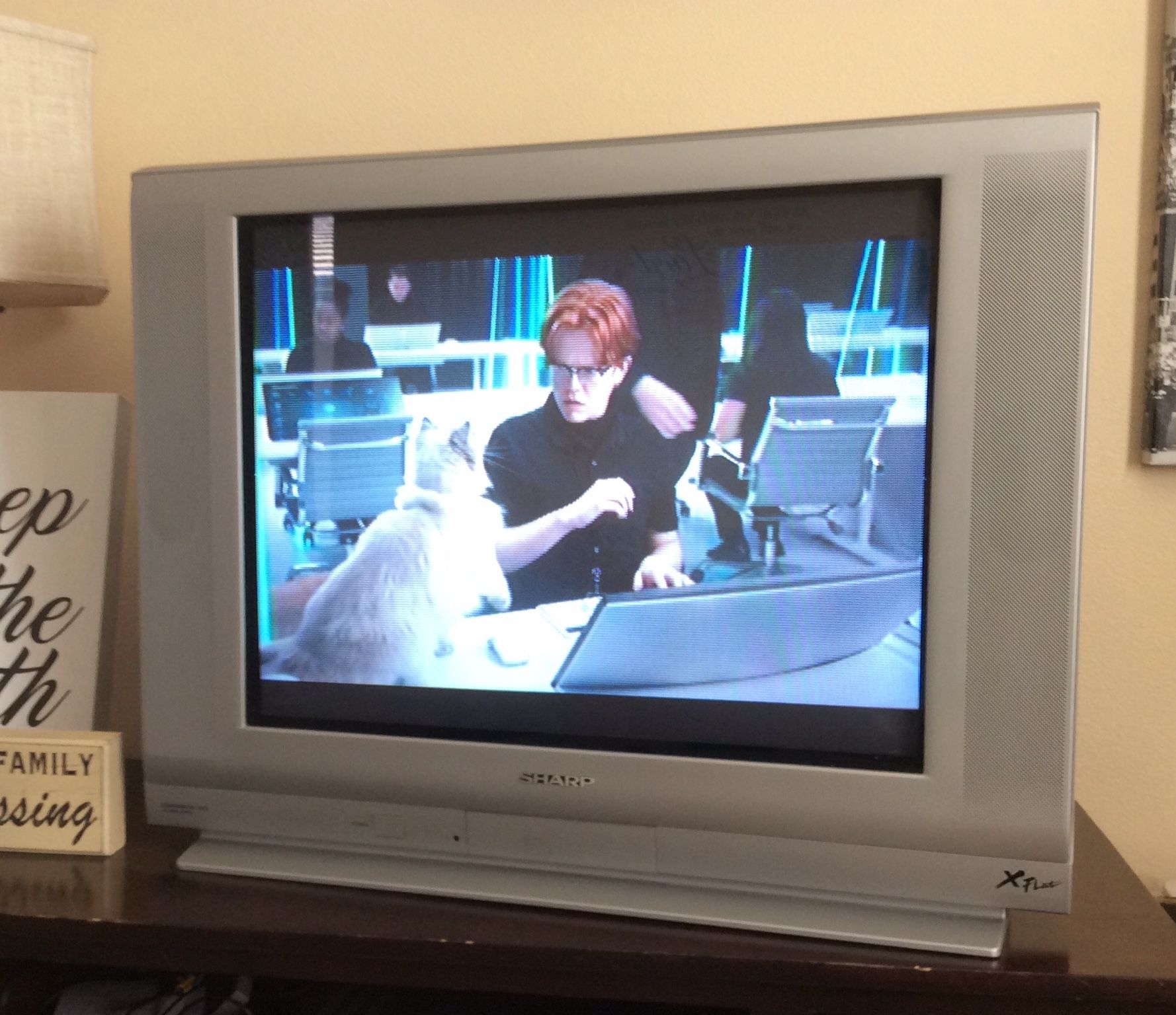 Sharp X-Flat TV